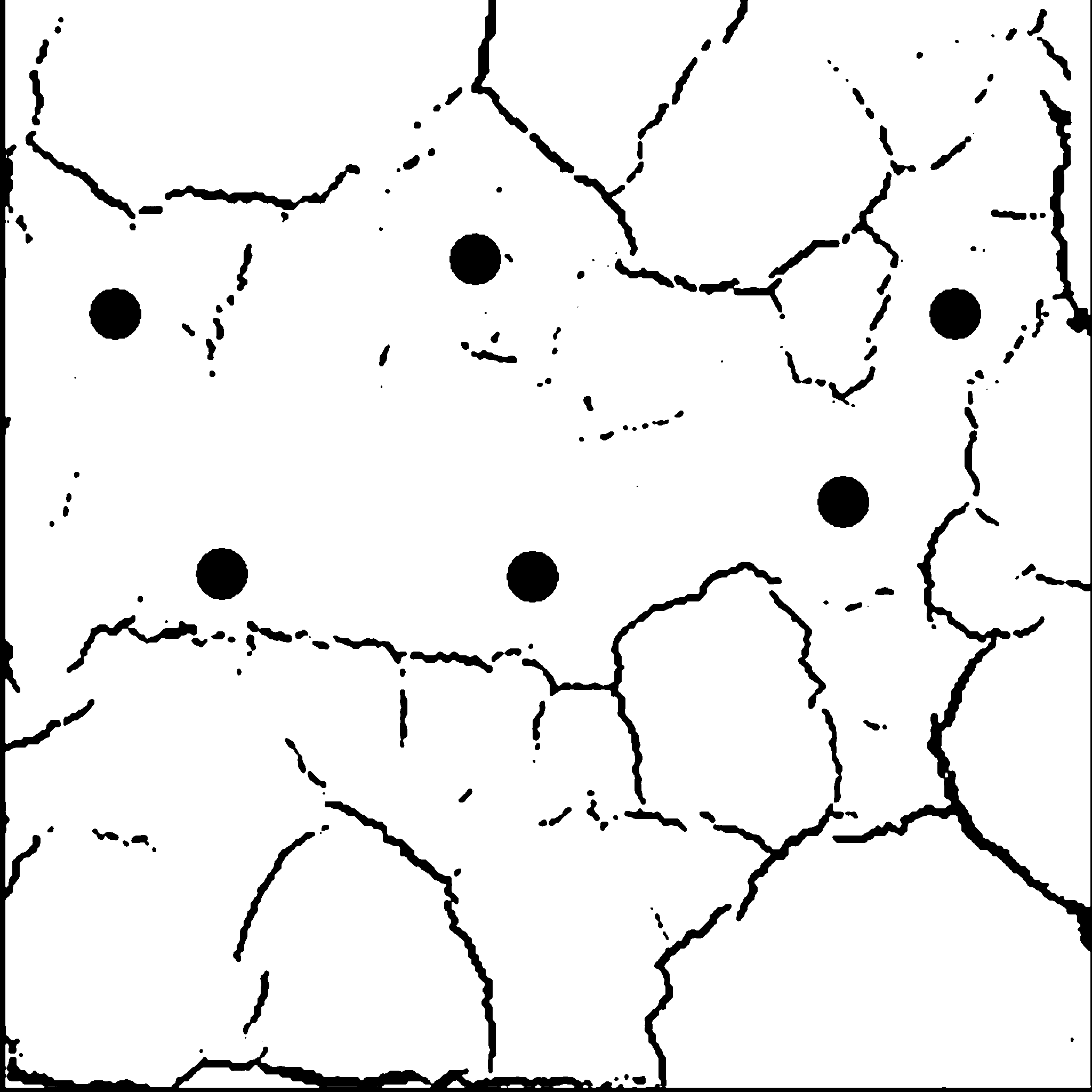 说明: 率定图像-试验1