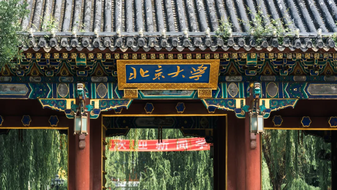 张辉配图.jpg